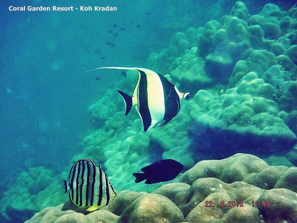 Coral Garden Resort Ko Kradan Eksteriør bilde